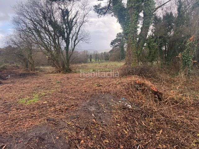 Foto eb7cb1e9-848b-4c5e-9284-102a1f02901f. Terreny residencial a Castropol