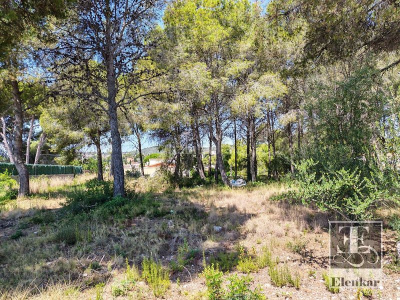 Foto 48ea1529-fb56-4a83-ba29-8a334572ef1e. Finca rústica a Cunit residencial Cunit