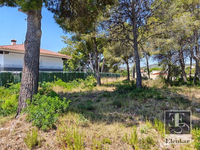 Foto 830478b0-3858-4736-bafd-c2d3f3c87b39. Finca rústica a Cunit residencial Cunit
