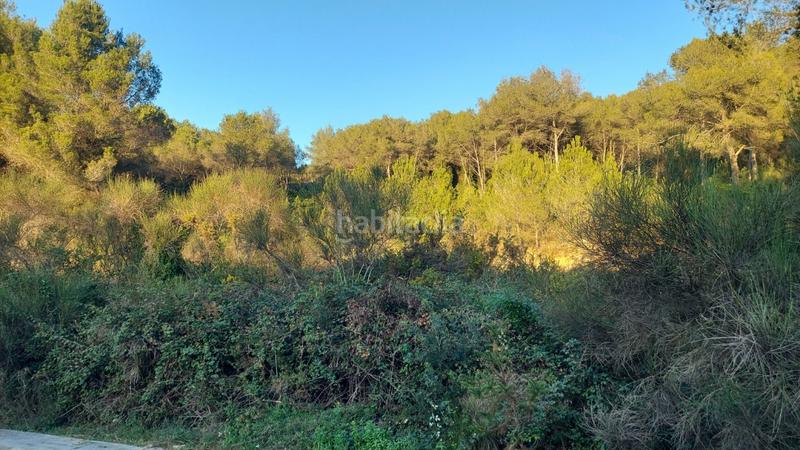 Foto dbf30d5c-08b9-4b78-8a7e-29fb56e9d8b8. Terreny residencial a Calafell poble Calafell