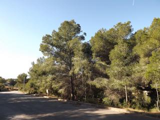 Residential Plot in Avenida de santa maria de montserrat 85. Vistas panorámicas