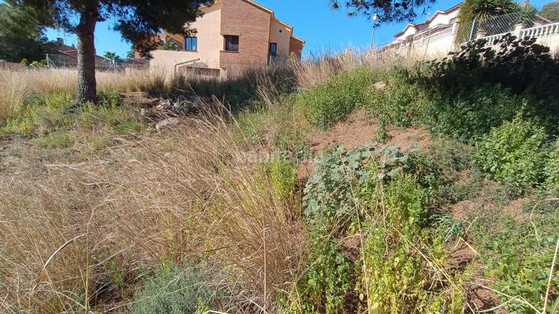 Foto 7a82a308-bf9d-4e0d-ae5a-60cbbf98453b. Terrain résidentiel dans Roda de Barà