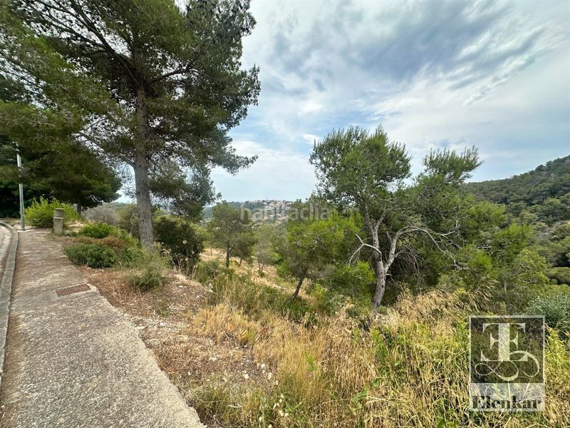 Foto 2922572f-a50e-40af-93ef-a1a371dd5c9d. Finca rústica a Castellet i la Gornal