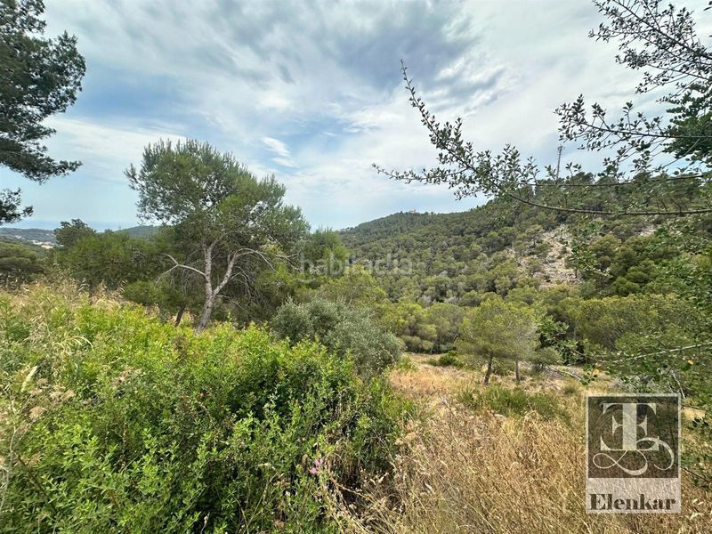 Foto 9610af60-8c00-41b1-95f5-f22389698431. Finca rústica a Castellet i la Gornal
