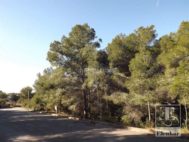 Foto 880a16cc-3dbe-432a-8fe1-ed129399452f. Finca rústica a Segur de dalt Segur de Calafell