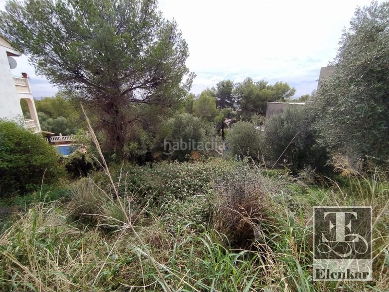 Foto 67e4e1a7-45f6-41be-8e8f-fb483816e6a1. Finca rústica a Segur de Calafell nucli urbà Segur de Calafell