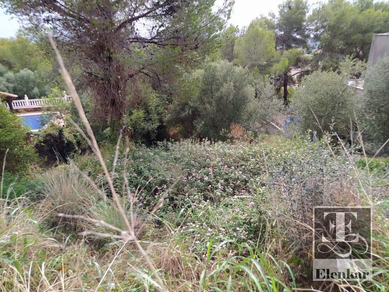 Foto ef5db8e9-0af8-4c82-bc51-524d8f360ae0. Finca rústica a Segur de Calafell nucli urbà Segur de Calafell