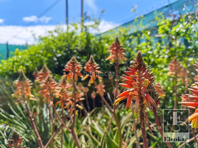 Foto 612fc8cb-c5c0-4c85-b878-24a6eca2bb1a. Xalet amb calefacció aparcament piscina a Bellvei