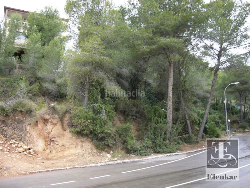 Foto 65a64a32-4896-47e8-9b9b-28587c116ab8. Finca rústica a costa Cunit - els jardins - els rosers Cunit