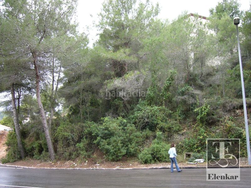 Foto b440f96e-144a-4362-8e0a-aae0d2f78855. Finca rústica a costa Cunit - els jardins - els rosers Cunit