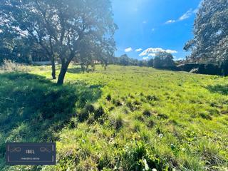 Terrain résidentiel  Calle blasco ibáñez. ¿buscas el lugar perfecto para construir la casa de tus sueños?