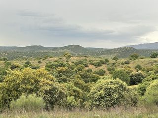 Finca rústica a Molar (El). Finca rústica con magníficas vistas junto a san agustín de guada