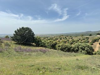 Rural plot in Molar (El). Finca rústica con magníficas vistas junto a san agustín de guada