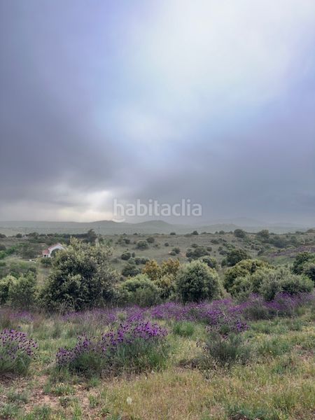 Foto 0c55de9b-8f8f-47e3-8dd6-44d54b2b9276. Finca rústica a Molar (El)