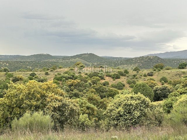 Foto 0d814f50-1040-4eb4-a106-055f615461d8. Finca rústica a Molar (El)