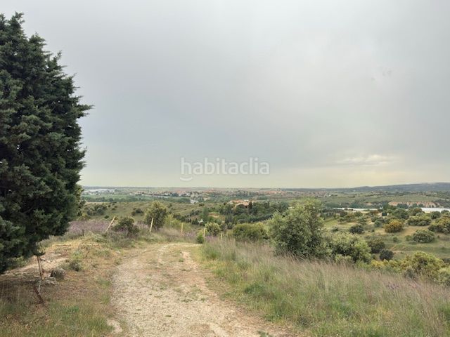 Foto 0fa72d81-8fc8-4a69-883f-b6ed4b1d8e84. Finca rústica a Molar (El)