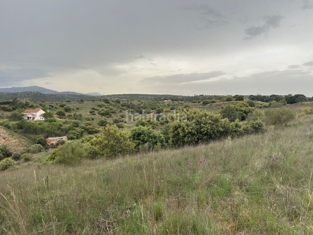 Foto 1f0a48c7-f53b-404a-8f4a-fb57b4df5932. Finca rústica a Molar (El)