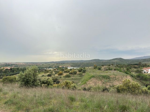 Foto 3ed36a76-fc9b-4378-95ce-fa050ea352cb. Finca rústica a Molar (El)