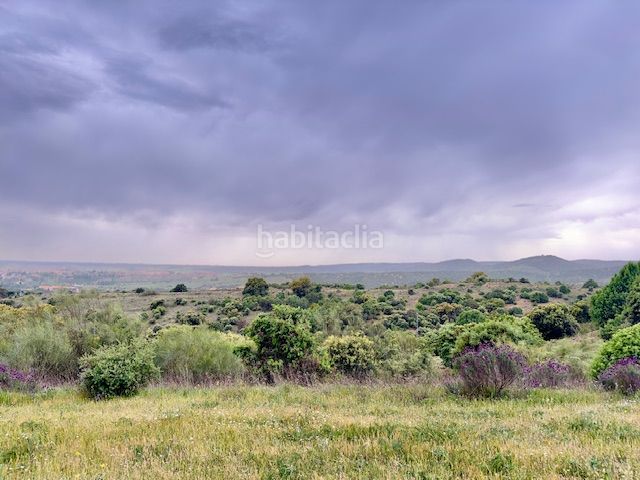 Foto 6b9d6a59-3551-4145-9672-d31a7f2a4d12. Finca rústica a Molar (El)