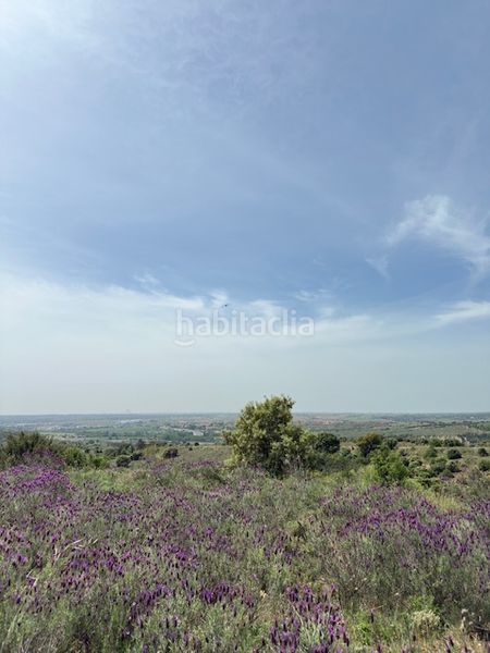 Foto a7578906-8f7a-4860-ad01-2653c4b06ac5. Finca rústica a Molar (El)