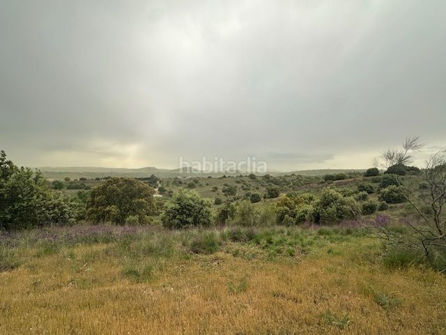 Foto cf23c7eb-178f-41fe-a2b4-f3d3f21fd75d. Finca rústica a Molar (El)