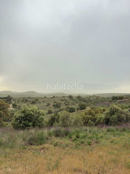 Foto d63e9116-ad8e-4d13-b11b-290537395347. Finca rústica a Molar (El)