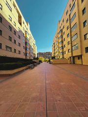 Rent Flat in Calle de ana de austria 26. Corsini inmobiliaria alquila