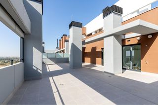 Torre Arenal