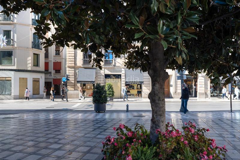 Foto e0d9ac2b-a139-45b1-a3e8-6e509e9456e8. Local comercial en Centro - Sagrario Granada