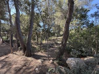 Residential Plot in Sant Carles. Parcela con proyecto de vivienda unifamiliar en venta  cala mast