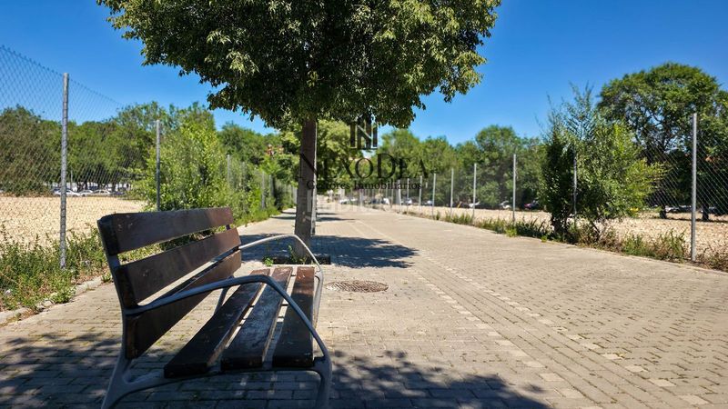 Foto a5ff0e14-4137-4163-8d52-cf3388108a1e. Pis a Brezo Valdemoro