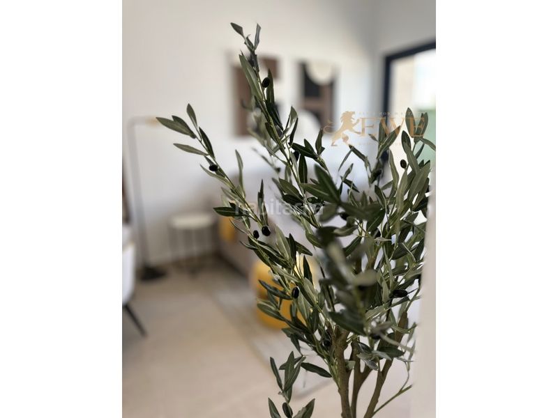 Foto 699f32ce-51b1-4e6f-8eda-a5df871f40cf. Planta baixa a San Fulgencio