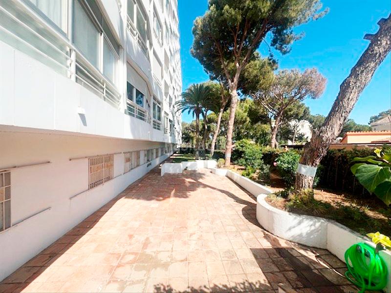 Foto 623bd4c1-9931-48ba-9ab9-ac3dd80ad577. Estudio en Las Chapas - Alicate Playa Marbella