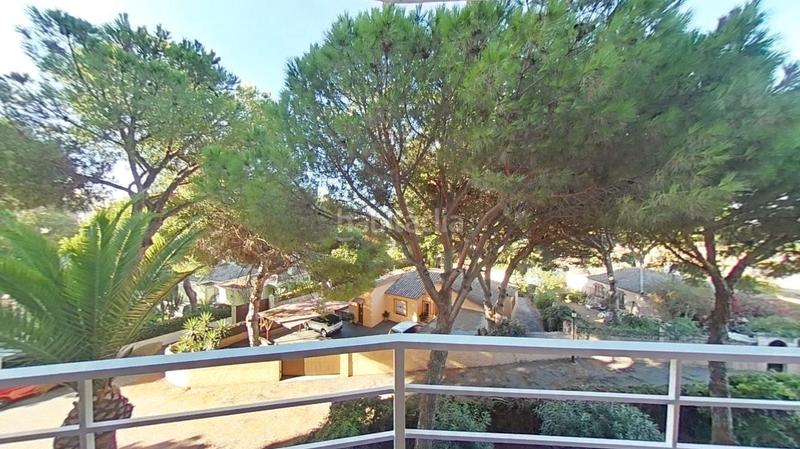 Foto ede1f855-579e-4417-b7ad-4eca360dea61. Estudio en Las Chapas - Alicate Playa Marbella