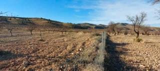 Rural plot in Baza. Finca rústica en baza (granada)
