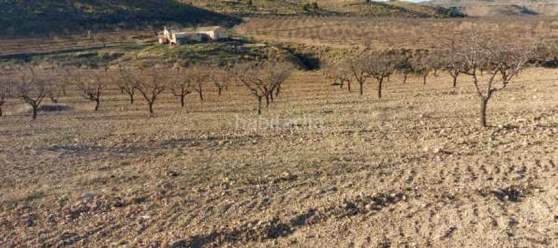 Foto 978ef006-c27c-47e5-963b-9827ef2d5105. Finca rústica  (granada) en Baza