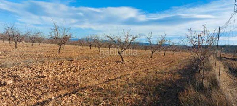 Foto ac85f916-7dc4-4278-a1ba-3cbfb5831970. Finca rústica  en cortijo el capricho, (granada) en Baza