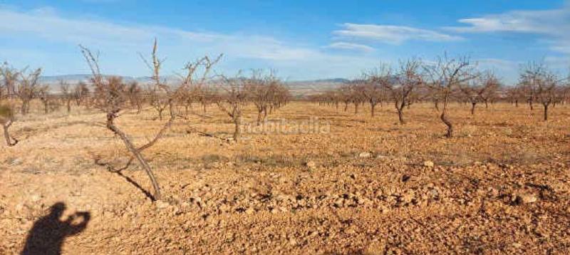 Foto d1356f0c-3a81-4942-8e36-73bd790a1508. Finca rústica  en cortijo el capricho, (granada) en Baza