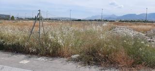Terreno residenziale  Barrio pt-cc cortijo del cond