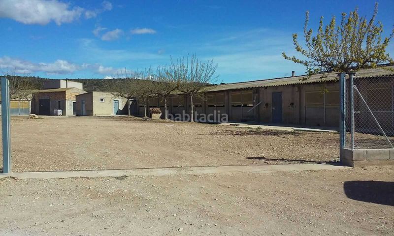 Foto 62f108a6-057a-4496-a11e-940e832b412a. Fabrikhalle in Traiguera