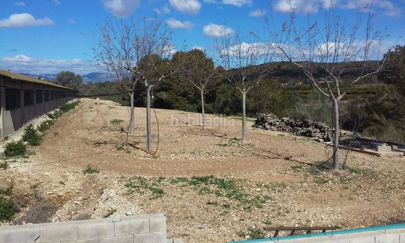 Foto b84a48bf-02ac-42d2-9bc1-43fca187c3b7. Fabrikhalle in Traiguera