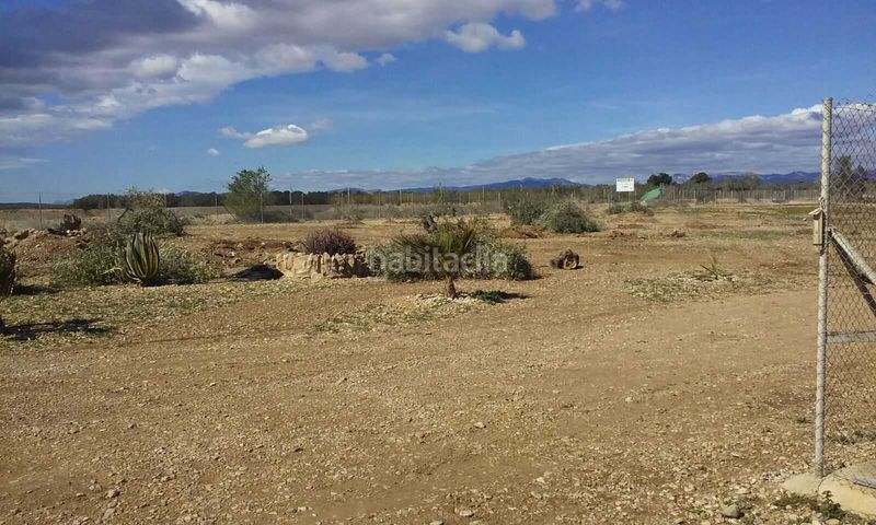 Foto b86f1dc5-7d5e-475f-a6c8-66af8490c8c0. Fabrikhalle in Traiguera