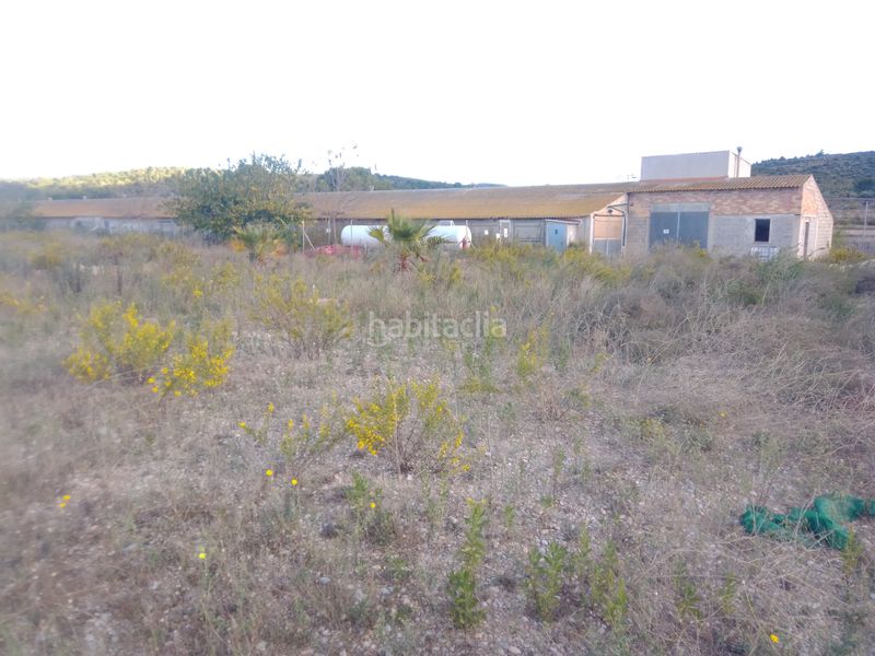 Foto bdbdeea3-a770-48da-8730-5355302af334. Fabrikhalle in Traiguera