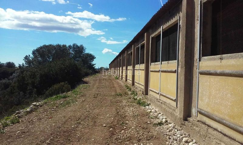 Foto becdadf4-3490-4c03-b886-c6e093448a3c. Fabrikhalle in Traiguera