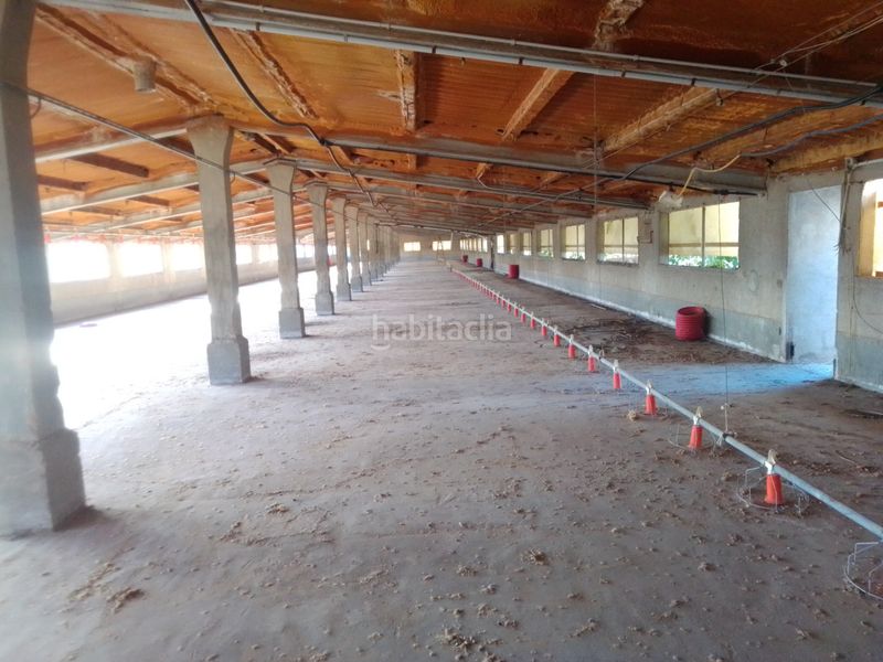Foto dda2f25e-7a64-4d27-afd9-4b4e26af788f. Fabrikhalle in Traiguera