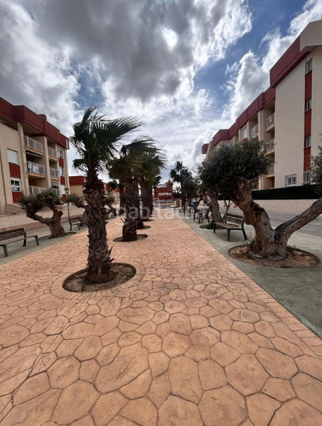 Foto b4cd8535-72ff-4473-b669-d4a5b50f530b. Etagenwohnung mit parking pool in Lomas de Cabo Roig - Los Dolses Orihuela