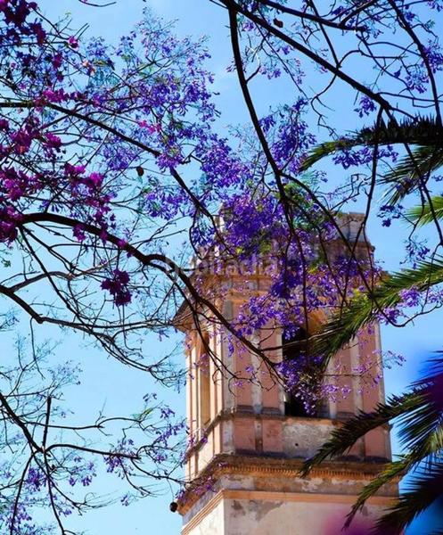 Foto 1a220f56-66c3-44c2-8da5-73e3f09ab547. Casa adosada en Devessa - Monte Pego Dénia