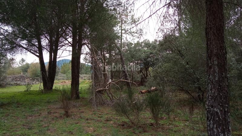 Foto 02201f48-ee44-454c-8171-67ef51d1e646. Finca rústica a Sotillo de la Adrada