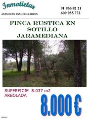 Propriété à Sotillo de la Adrada. Finca de 8037 m2 en la zona de jaramediana