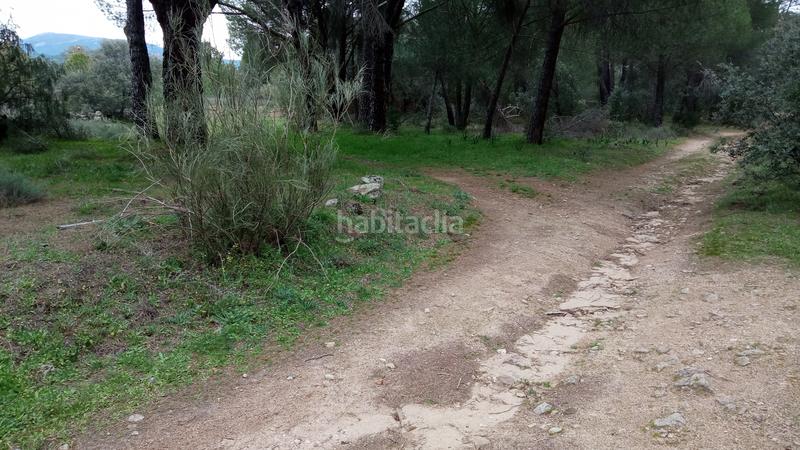 Foto 3738aa06-ae0a-4905-81aa-352e1ae0910f. Finca rústica a Sotillo de la Adrada